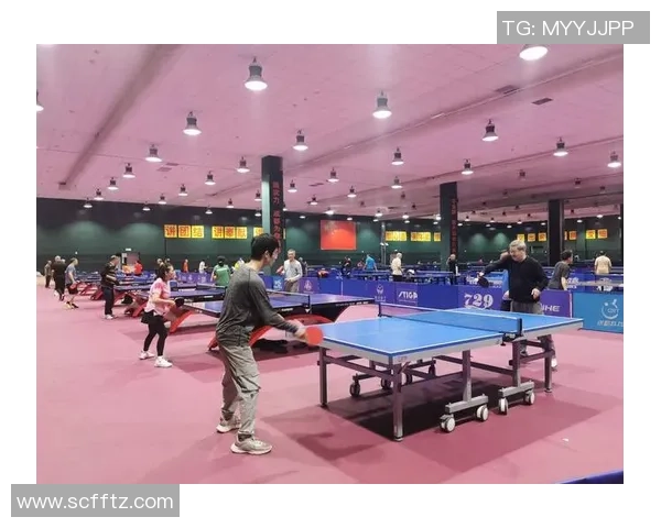 乒乓球的魅力与灵动成都乒乓球队的灵活性深度解析