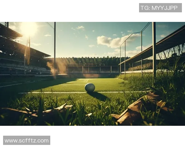 wz足球:探索足球世界的魅力与激情,带你领略不一样的绿茵场风采 wz足球:探索足球世界的魅力与激情,带你领略不一样的绿茵场风采