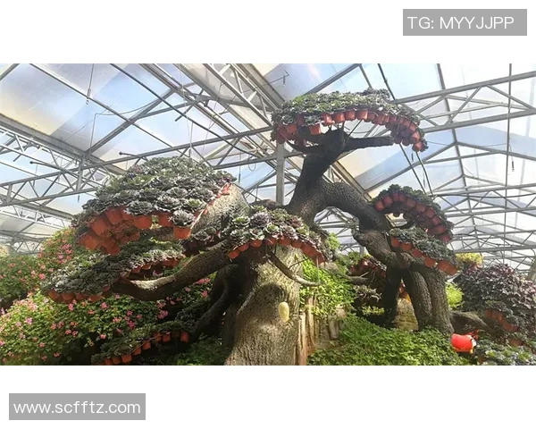 探索莫伊足球的魅力与技术深度，揭示其在现代足球中的独特影响力与发展潜力